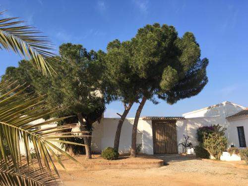 Campo Nubla Bed & Breakfast | Torre de la Campana