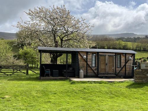 Cwmdu House | Transformed Railway Wagon- Sleeps2-Garden-Firepit
