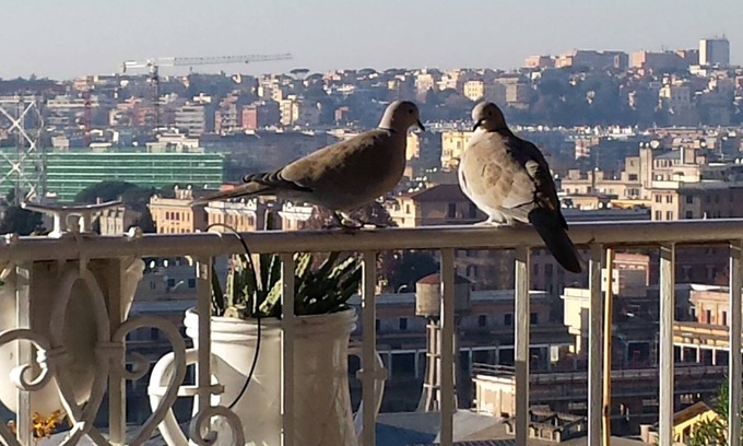 Garbatella House | Trastevere 2