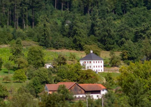 Schlußlberg House | Trattnachtaler Weinhaus