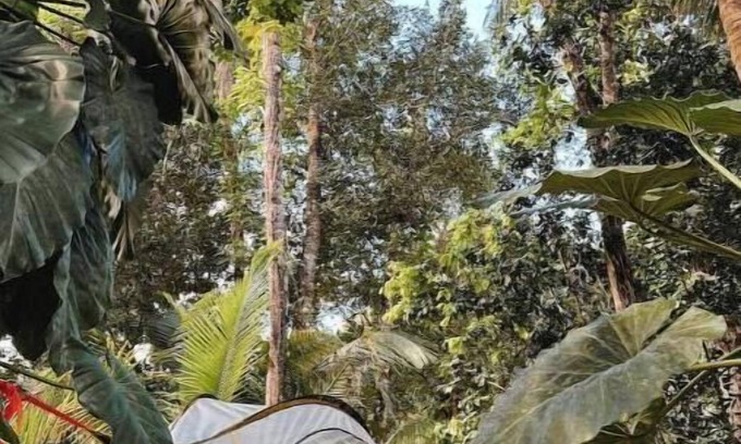 Sabana RV Rental | Tree Camping Tents: Hacienda Monte Reynn