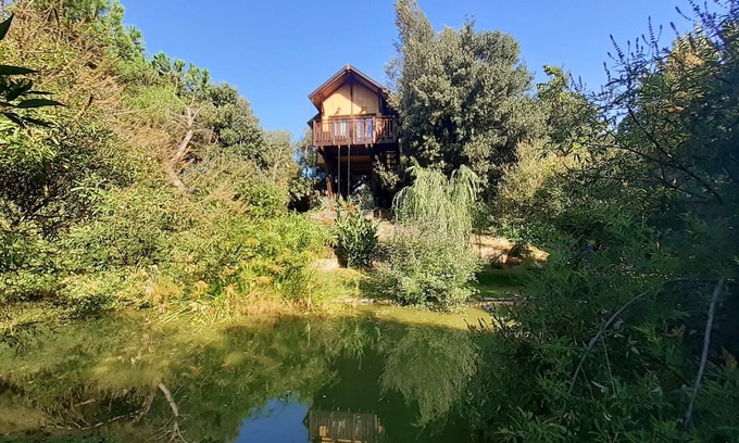 Vitellino House | Tree House Awen of La Bandita Farmhouse