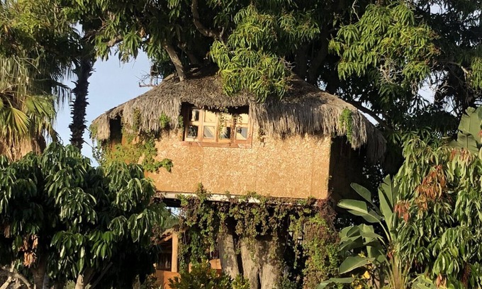 Todos Santos House | TREE HOUSE located on Rancho Danza del Sol