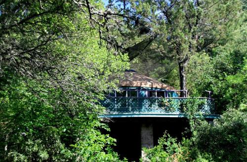 Burnet Other | Tree House Yurt