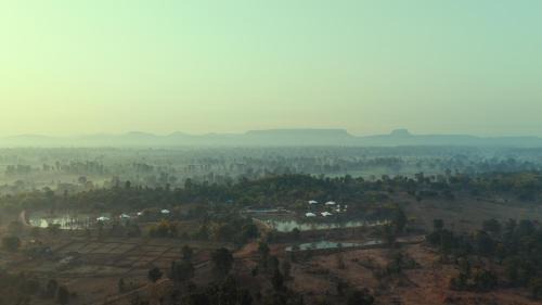 Damoy Other | Tree of Life Ramvilas, Bandhavgarh