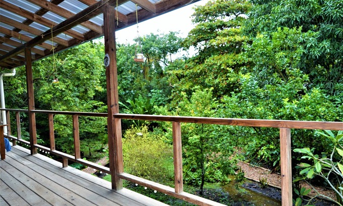 San Ignacio House | Tree Top Home In A Jungle Like Oasis in San Ignacio, Start Your Adventure Here