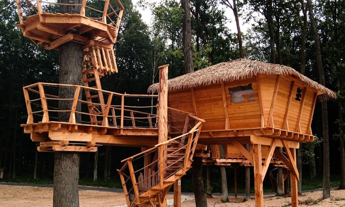 Hradec Kralove House | Treehouse 2 by Interhome