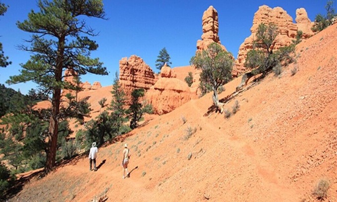 Brian Head Cabin | Trek to the top of Brian Head Peak and immerse yourself in the beautiful trails.