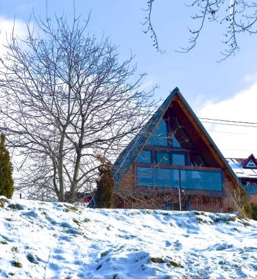 Petrosani Cabin | Triangle House Parang