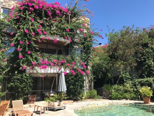 Bodrum City Center Villa | Triplex Villa with private Pool and Garden