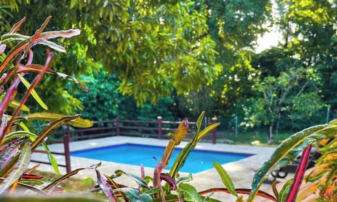 Scarborough Apartment | Tropical Apartments Tobago : Palm Apt 2