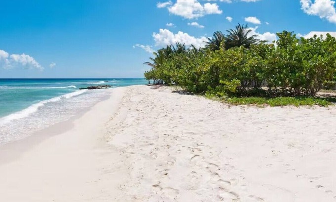 West Coast Condo | TROPICAL PARADISE ON THE BEACH
