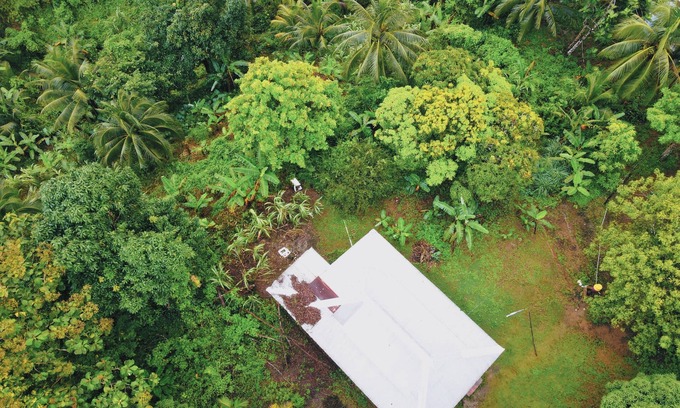 Moore Town Other | Tropical Rain For Us: Eco OffGrid Retreat Venue with WiFi - Airy Castle, Jamaica