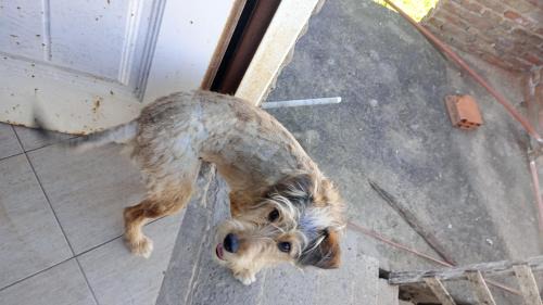 Los Polvorines Apartment | Trotamundo