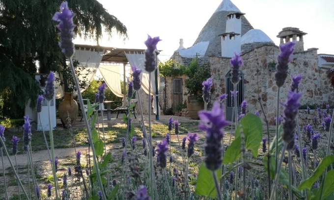 Ceglie Messapica House | Trullo Casedd, for Vs. Vacation CIN: IT074003C200103864