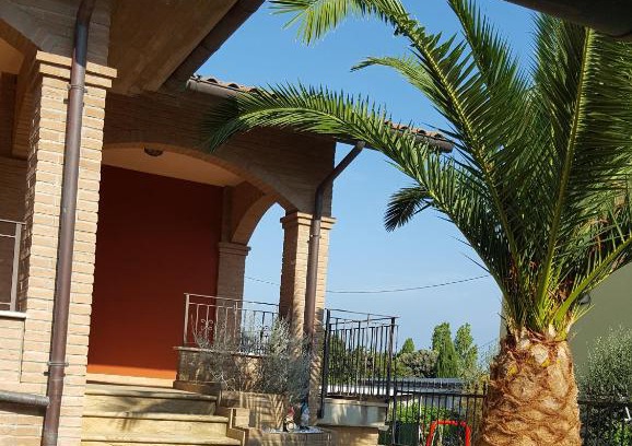 Marotta Bed & Breakfast | Tulipano Appartamenti