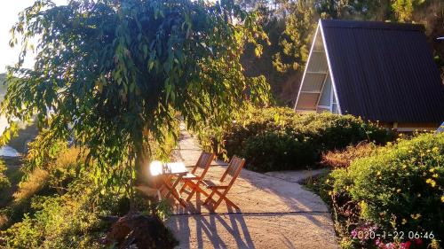 Da Lat Ski Chalet | Tuyết Hoa Hòn Bồ Homestay