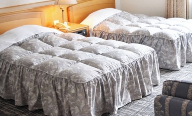 Nakaniikawa-gun Hotel | Twin room in the main building One night stay wi/Toyama Toyama