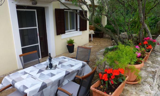 Mali Iz Apartment | Two bedroom apartment with terrace Mali Iž, Iž (A-16535-b)