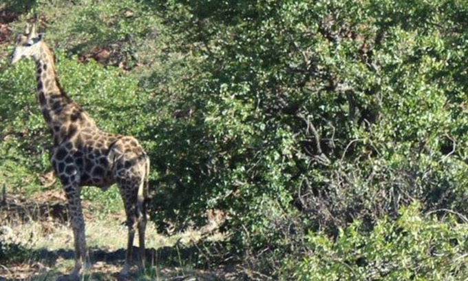 Khorixas Other | Twyfelfontein Tented Camp
