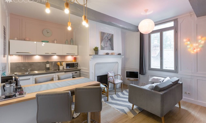 Centre Apartment | TY MELAINE - perle au coeur de Rennes (1 à 4 pers)
