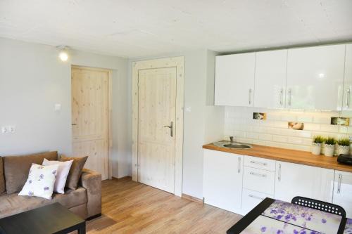 Ustrzyki Dolne Apartment | U Bednarzy
