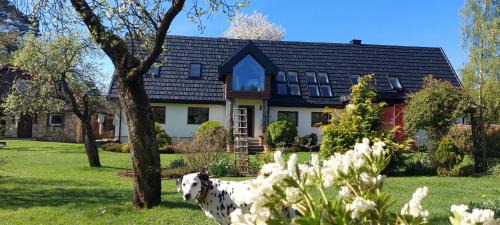 Szczytna House | U Helci - Na Krańcu Świata - Azyl tylko dla Dorosłych