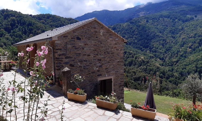 Carpineto House | U RATAGHJU - OREZZA Region - CASTAGNICCIA - UPPER CORSICA