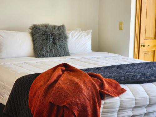 Te Aro Apartment | U Suites on Courtenay