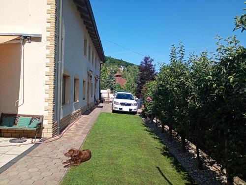 Trencianske Teplice House | Ubytovanie Clematis