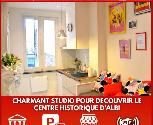 Albi Apartment | Un jour d'été à Albi - Centre Unesco - 200 m Cathédrale - Parking - Animaux acceptés