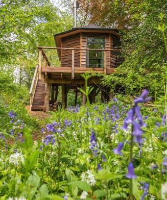 Morval House | Unique Secluded Romantic Treehouse in Cornwall, sleeps 2