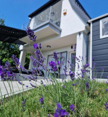 Bakonycsernye House | Várta-Lak Panoráma Présház Vendégház