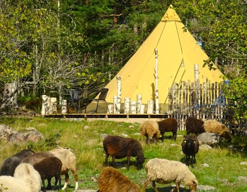 Pargas Other | Västeräng Glamping