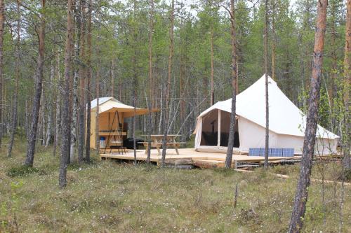 Asele Other | Västerled Glamp
