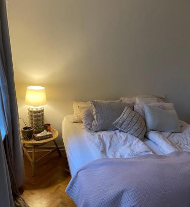 Odense House | Værelse udlejes i herskabslejlighed midt i Odense by