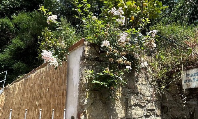 Giugnano House | Vacanze toscane relax e privacy