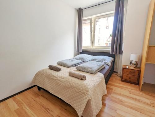 Villingen-Schwenningen Apartment | Vacation Apartment Near The Black Forest