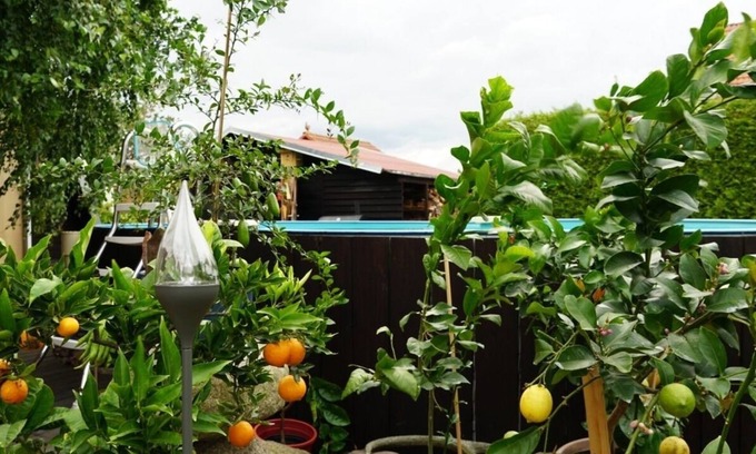 Lindenberg Apartment | Vacation apartment/apartment for 4 guests with 40m² in Neu Lindenberg (150876)