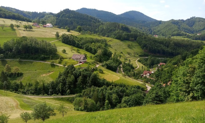 Oppenau Apartment | Vacation apartment/apartment for 4 guests with 64m² in Oppenau (158028)