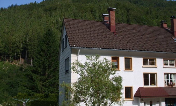 Brandenberg-Fahl Apartment | Vacation apartment/apartment for 4 guests with 50m² in Todtnau (157261)