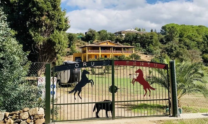 Fluminimaggiore Bed & Breakfast | - Vacation for body and soul at our ranch by the sea