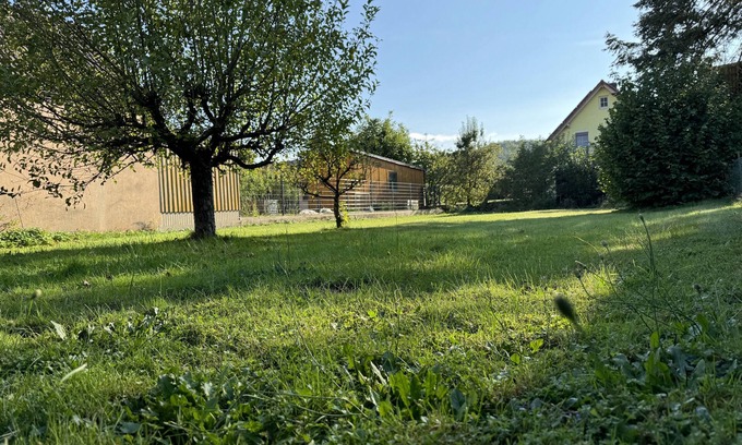 Lonnerstadt House | Vacation home for 6 guests with 90m² in Lonnerstadt (270561)