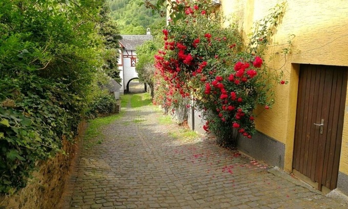 Enkirch House | Vacation home Gisela on the Moselle