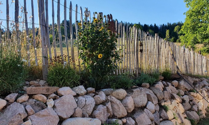 Blasiwald Apartment | Vacation with dog away from the forest near Schluchsee