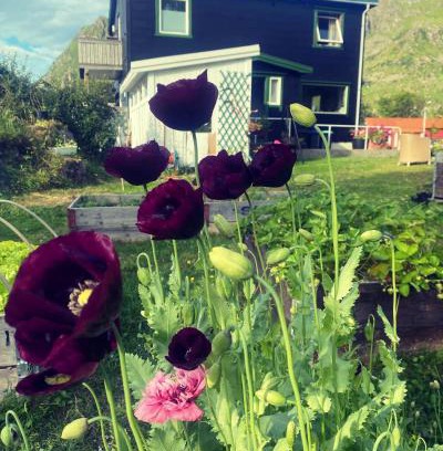 Valberg Bed & Breakfast | Valberg Gjestegård