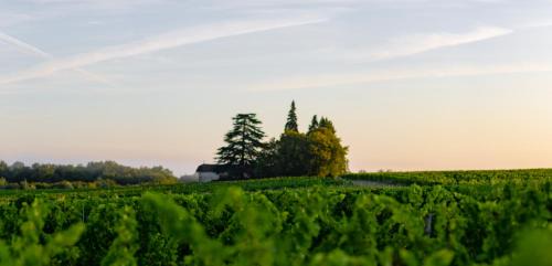 Minzac Bed & Breakfast | Vandenbeld Wines B&B