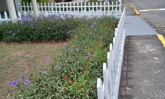 Constant Spring Apartment | Vantage Place At The Oaklands