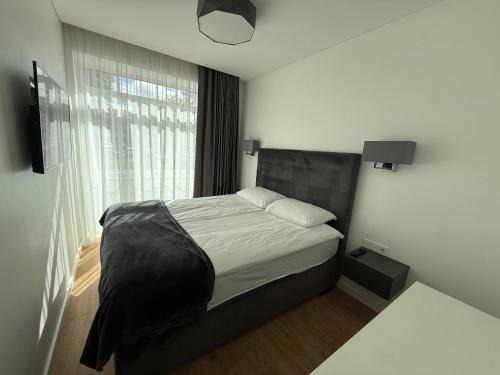Siauliai City Center Apartment | Varpo 17