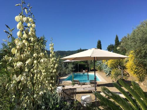 Montevarchi Apartment | Ventena Vecchia antico frantoio